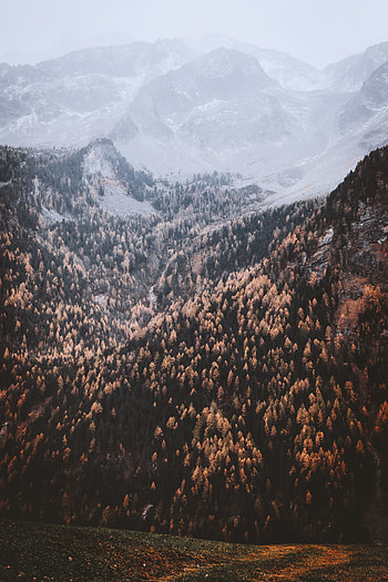 Beautiful, autumn of mountains, nature, trees HD phone wallpaper