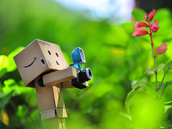 Found The Shot, danbo, cute, robot HD wallpaper