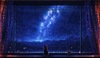 Rain, Anime, Sky, Cat, Night HD wallpaper