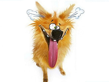 :D, face, funny, orange, steam, tongue, dog, white, ginger, brown, fantasy, caine HD wallpaper