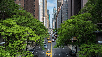 Lexington Avenue, New York Streets HD wallpaper