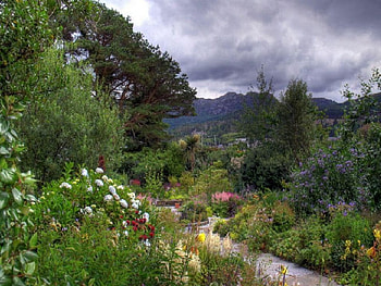 Plockton Front Garden, garden, plockton HD wallpaper