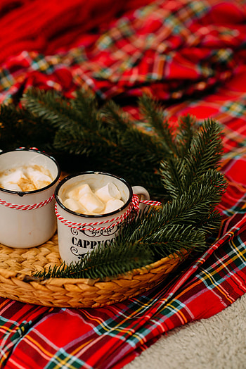 Holidays, Holiday, Branches, Fir, Spruce, Zephyr, Marshmallow, Mugs HD phone wallpaper