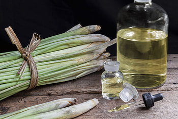 Herb of the month, Wholefoods magazine, Lemongrass HD wallpaper