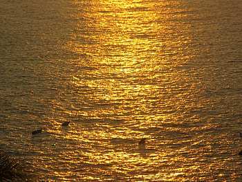 nice, sunset, beach HD wallpaper