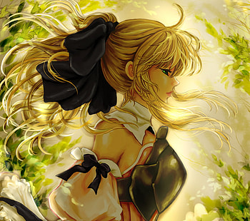 Saber Lily, armour, fate unlimited codes, fate stay night, long hair, armor, anime girl, saber, anime, blonde hair, green eyes, female HD wallpaper