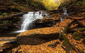 Waterfall, forest, water, stream HD wallpaper