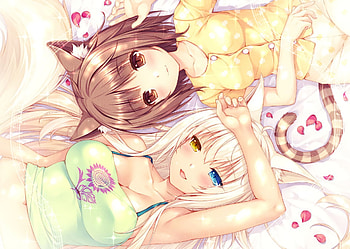 Nekopara, Azuki (Nekopara), Coconut (Nekopara), Anime, Cat Girl, Heterochromia HD wallpaper