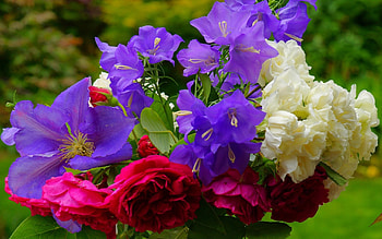 Flower Mix, bouquet, peonies, bluebell, blossoms, colors HD wallpaper