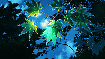 Anime, The Garden Of Words HD wallpaper