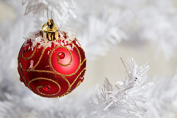 A great time to have some fun!, sweet, winter, red bauble, light, bright, love, snow, white christmas tree, ornament, nature, lovely, forever HD wallpaper