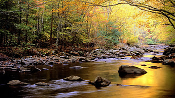 Landscape, Rivers, Trees HD wallpaper