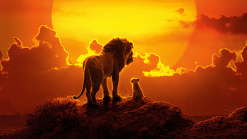 The Lion King 2019 HD wallpaper