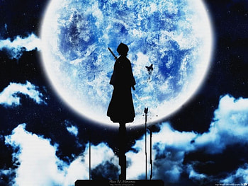 Rukia Moon, cool, bleach, rukia, moon HD wallpaper