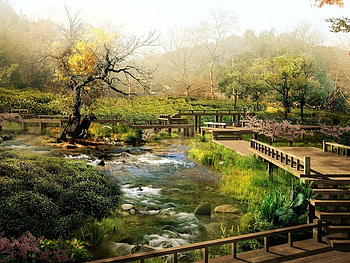 japanese garden, garden, nature, water, japan HD wallpaper