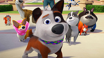 Dog Gone Trouble, dog, trouble, gone, park HD wallpaper