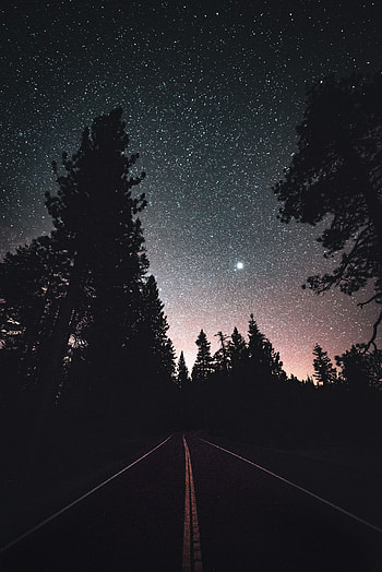 Nature, Trees, Night, Road, Markup, Starry Sky HD phone wallpaper