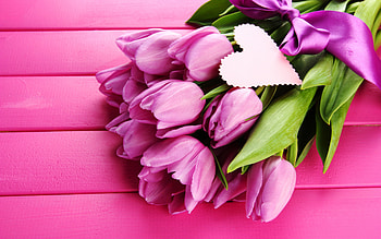 purple tulip, , bouquet of tulips, spring flowers, macro, purple wooden backgrounds, purple flowers, tulips, beautiful flowers, backgrounds with tulips, purple buds HD wallpaper