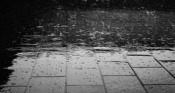 Rain , Trump HD wallpaper