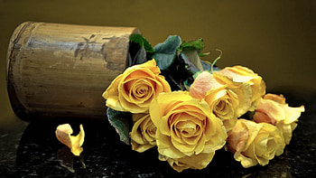 Bouquet, Flowers, Roses HD wallpaper