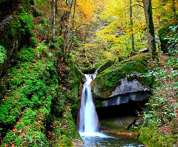 Beautiful waterfall in dark forest, colors, beautiful, dark, season, waterfall, trees, autumn, splendor, forest HD wallpaper
