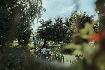 Nature, Grass, Vegetation, Hammock HD wallpaper