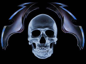 Skull, wings HD wallpaper