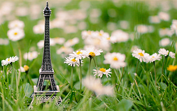 Flowers, Grass, Eiffel Tower, Miscellanea, Miscellaneous, Trinket HD wallpaper
