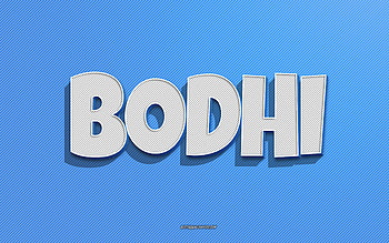 Bodhi, blue lines background, with names, Bodhi name, male names, Bodhi greeting card, line art, with Bodhi name HD wallpaper