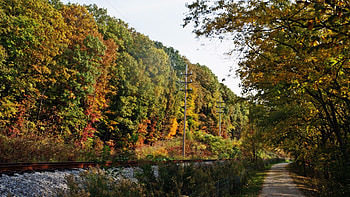 Autumn Path, autumn view, scenic autumn, fall path HD wallpaper