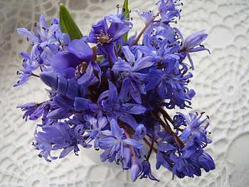 Flowers, Bouquet, Napkin HD wallpaper