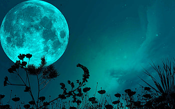 Full moon, blue, night, black, full, branch, moon, fantasy, flower, luna, luminos, silhouette HD wallpaper