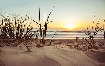 Peaceful beach scene at sunset with sun, sea, and sandy dunes in view. Ideal for nature themes. HD wallpaper