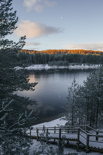Winter, Nature, Snow, Lake, Frost, Hoarfrost, Winter Landscape HD phone wallpaper