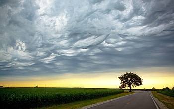 Nature, Clouds, Wood, Road, Tree, Field, Evening, Air, Crossroads, Crossroad HD wallpaper