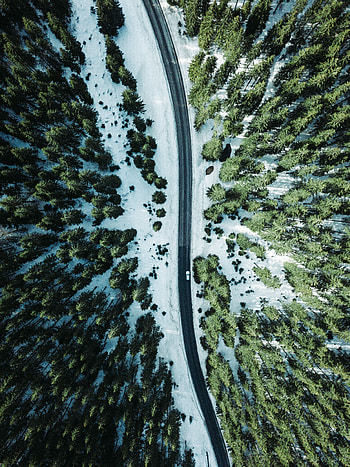 Nature, Trees, Snow, View From Above, Road, Forest HD phone wallpaper