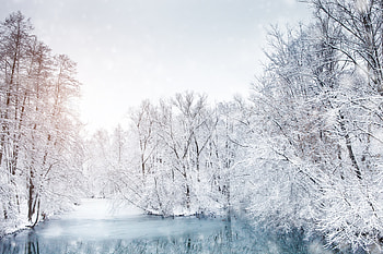 Quad Winterscape - Silent River Nature, nature, winter HD wallpaper