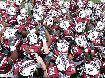 USC team, Gamecocks HD wallpaper