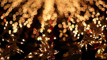 Fairy lights, Mesmerizing displays, Delicate illumination, Enchanting atmosphere HD wallpaper