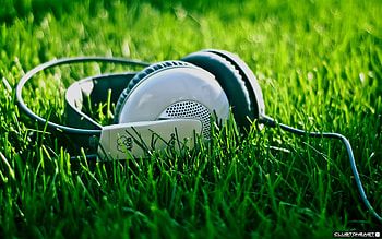 Music, Grass, Heads HD wallpaper