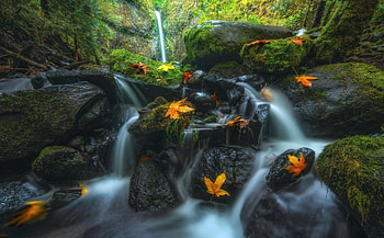 Autumn Waterfalls, leaves, moss, Fall, trees, waterfalls, Autumn, water, rocks HD wallpaper