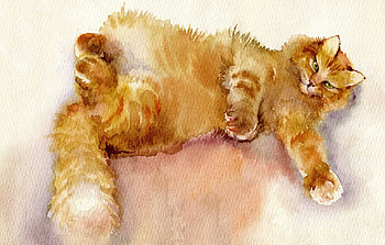 Cat, pisici, art, watercolor, orange, ginger HD wallpaper