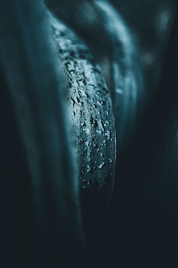 Leaf, dark, drops, portrait HD phone wallpaper