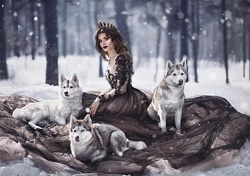 lady, model, graphy, beauty HD wallpaper