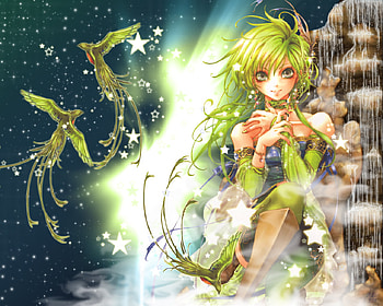 Flying in the Stars, night, bird, green, stars, parrot HD wallpaper