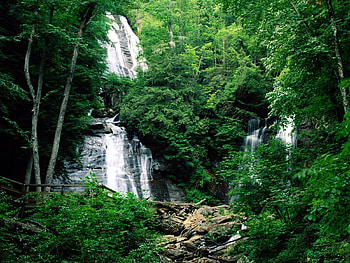 Plants, Landscape, Waterfalls HD wallpaper
