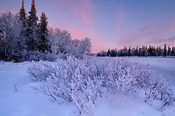 Winter, sky, snow, sunrise HD wallpaper