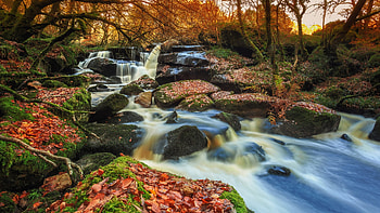 Breizh waterfalls, Saint Herbot, Britanny, France, river, leaves, rocks, forest, trees HD wallpaper