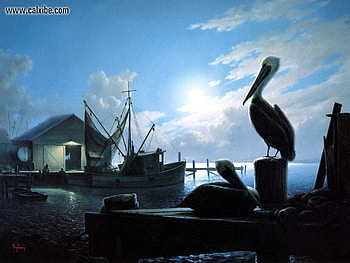The Pelican Wharf, night, boat, birds, fish, water HD wallpaper