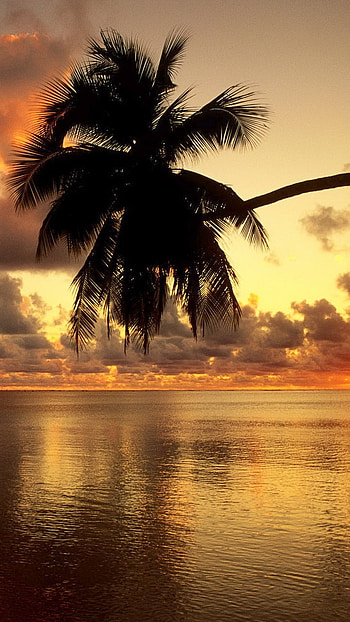 May Background, Sunset, River HD phone wallpaper